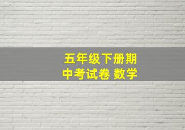 五年级下册期中考试卷 数学